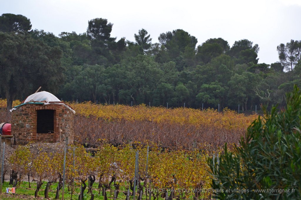 Domaine de Malherbe 4.JPG - Domaine de Malherbe.  Le 05 décembre 2014 sous la pluie.